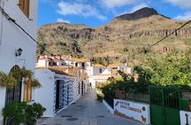 Private Excursion The mountains of Gran Canaria for 2 to 4 people