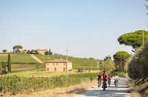 Cortona - eBike tour and wine tasting in the Val di Chiana [+40€]
