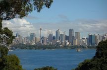 Sydney Must-See Attractions Walking Tour With A Guide