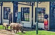 Chinotimba Township Tour in 4wd