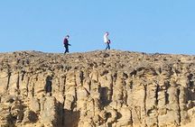 Wadi Al-Hitan Private Valley of the Whales Day Tour From Cairo