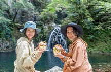 Private Tour of Akame 48 Waterfalls with Bento Making