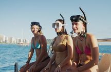 Waikiki Turtle Snorkel Tour