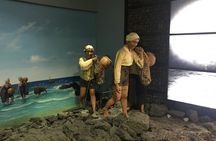 Jeju island Eastern UNESCO site Full Day Guided Tour