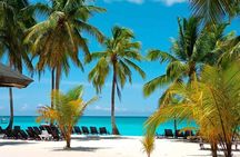 Perfect Day at Saona Island by Speedboat - Completely Private