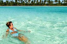 Perfect Day at Saona Island by Speedboat - Completely Private