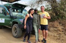 Elephant Orphanage, Giraffe Centre& optional Nairobi NationalPark