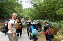 Sapa 2 Days Trekking Tour from Hanoi by Bus & Homestay Overnight