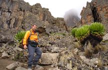 5 Days Mount Kenya Trekking Through Sirimon in Chogoria Route