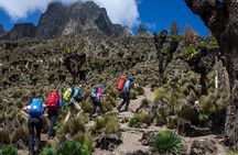 5 Days Mount Kenya Trekking Through Sirimon in Chogoria Route