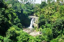 Bali Water Sports Activity and Ubud Village Private Tour
