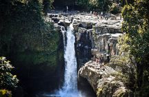 Best of Ubud Village Private Tour with Jungle Swing All Inclusive