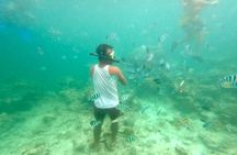 Shared El Nido Island Hopping Tour with lunch