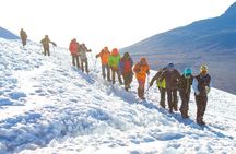 1 Day Mount Kenya National Park Hike Through Narumoro Route