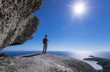 Wilsons Promontory Wilderness Day Tour