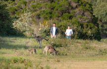 Wilsons Promontory Wilderness Day Tour