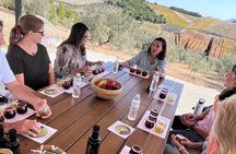 Olive Oil Tour & Tasting with sommelier -Kalentzi, Athens daytrip