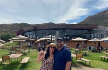 Valle de Guadalupe COUPLES wine tasting for 2