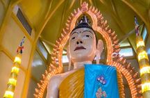 Guided Walking Tour to the Historical Attractions in Farrer Park