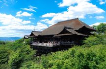 Kyoto Private Cultural Historical Tour with Local Japanese Guide