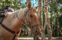 Horseback Ride to Xunantunich Maya Ruins 