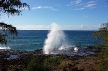 Small-Group Waimea Canyon Adventure Tour & Beyond with Lunch