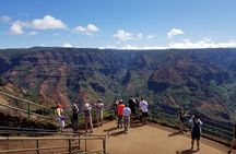 Small-Group Waimea Canyon Adventure Tour & Beyond with Lunch
