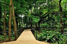 Botanical Garden and Arvi Park Medellín City Tour 