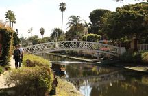 4.5 Hour Venice Beach Open Air Van Tour