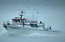 8hr Kenai Fjords Whale Watching Tour w/ 1hr Fishing 16 Passengers