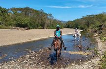Horseback ride, picnic and swimming at Barigona beach