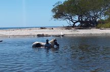 Horseback ride, picnic and swimming at Barigona beach