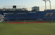 Catch a Baseball Game in Tokyo with a Local - Tickets Included