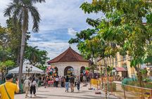 Cebu City with Sirao Garden Half Day Tour