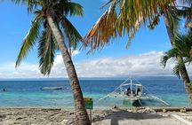 Moalboal Sardine Run, Sea Turtle and Mantayupan Falls