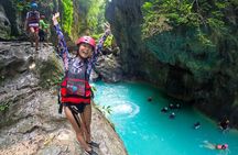 Kawasan Falls Canyoning and Moalboal Sardine Run, Sea Turtles