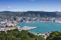 Guided Small Group Walking Tour in Wellington