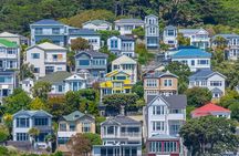 Guided Small Group Walking Tour in Wellington
