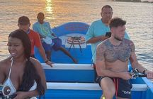 Half Day Reef Snorkel and Wildlife Tour