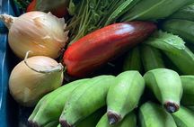 Costa Rican cuisine Cooking Class at Rancho Don Lelo
