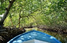Half Day Private Roatan Cultural East Tour