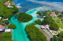 Half Day Private Roatan Cultural East Tour