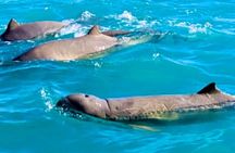 Living Coastlines Cruise