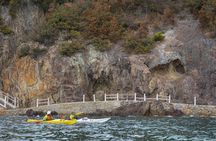 Explore the Nature that Inspired Ghibli Movies by Kayak (Half Day)