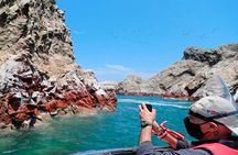FROM LIMA! Ballestas Islands + Huacachina + Chincha and more