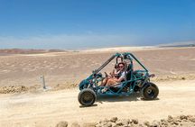 FROM LIMA! Ballestas Islands + Huacachina + Chincha and more