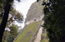 Tikal Private Tour From San Ignacio Belize with Lunch Included