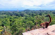 Tikal Private Tour From San Ignacio Belize with Lunch Included