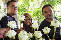 Bangkok Best Canal Tour- Flower Art & Artist's House Food of Fame