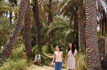 Private Garden City Tour with Zoo Ticket at Al Ain